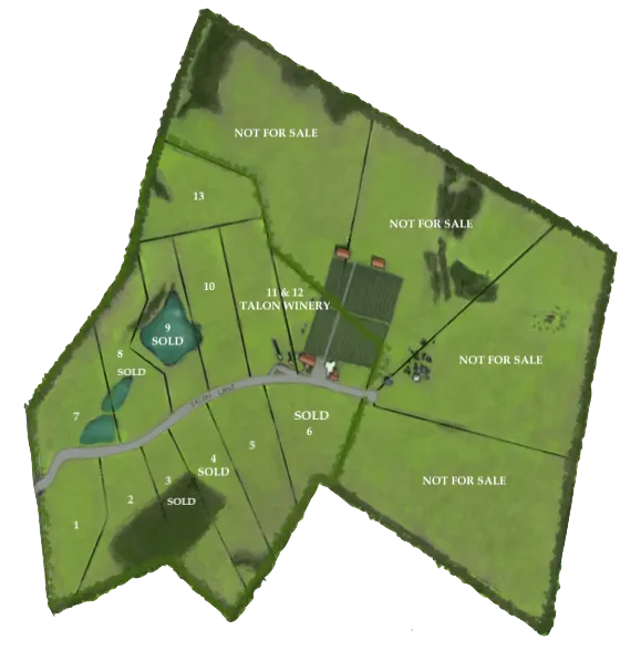 Concept map of Talon Estates lots at Talon Winery