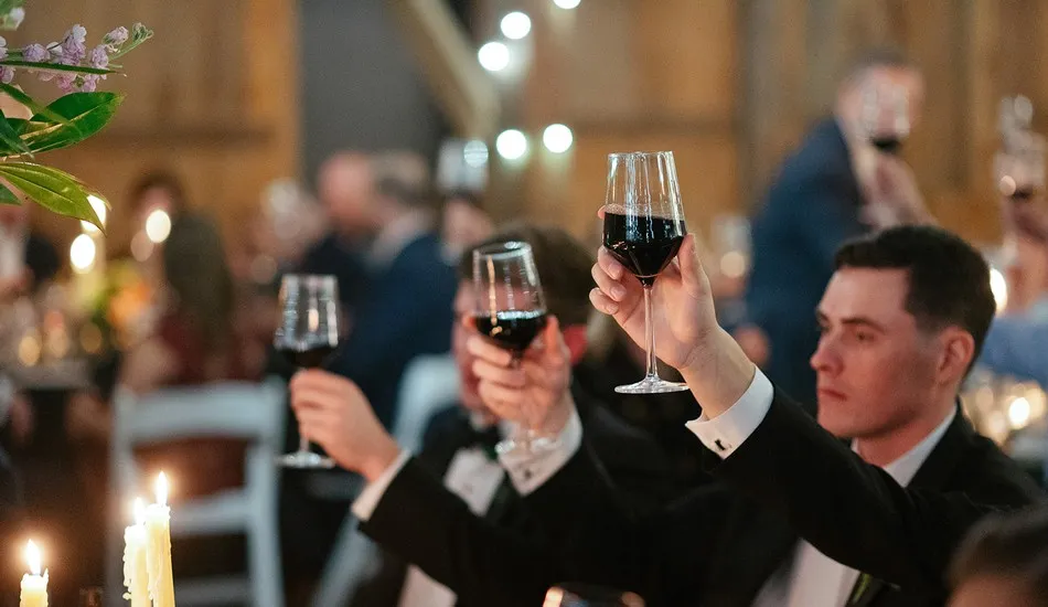 Gallery image of guests toasting
