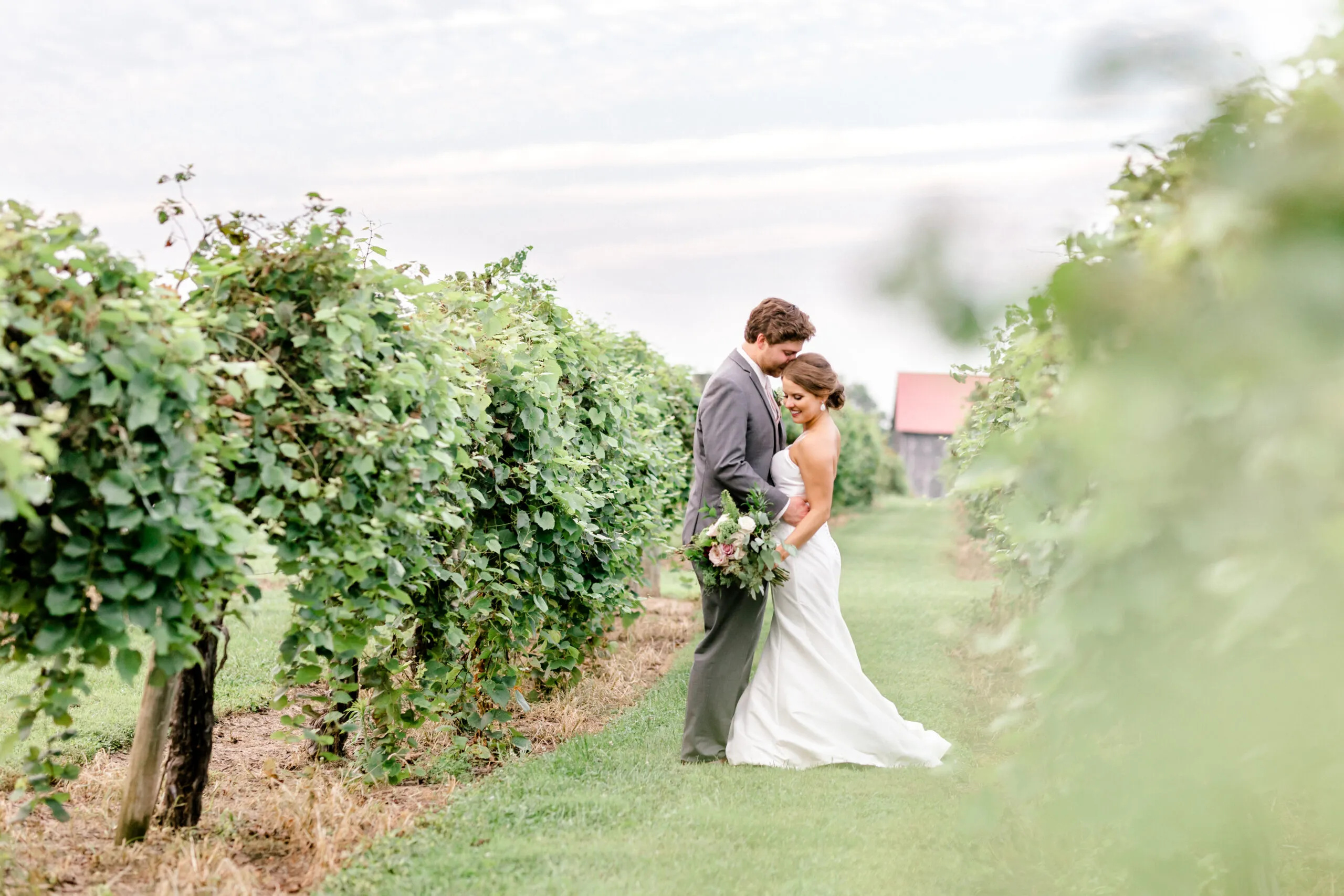 Gallery image of bride and groom in vineyard