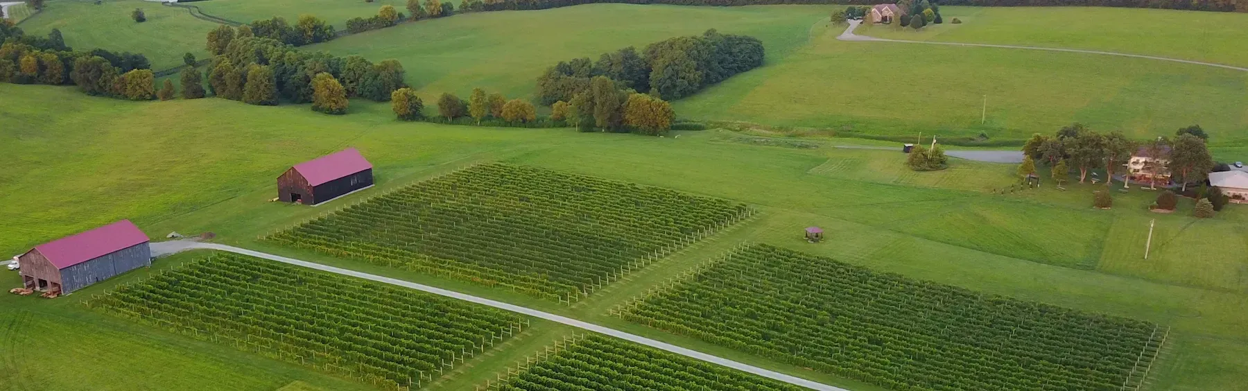 Drone shot of Talon Winery